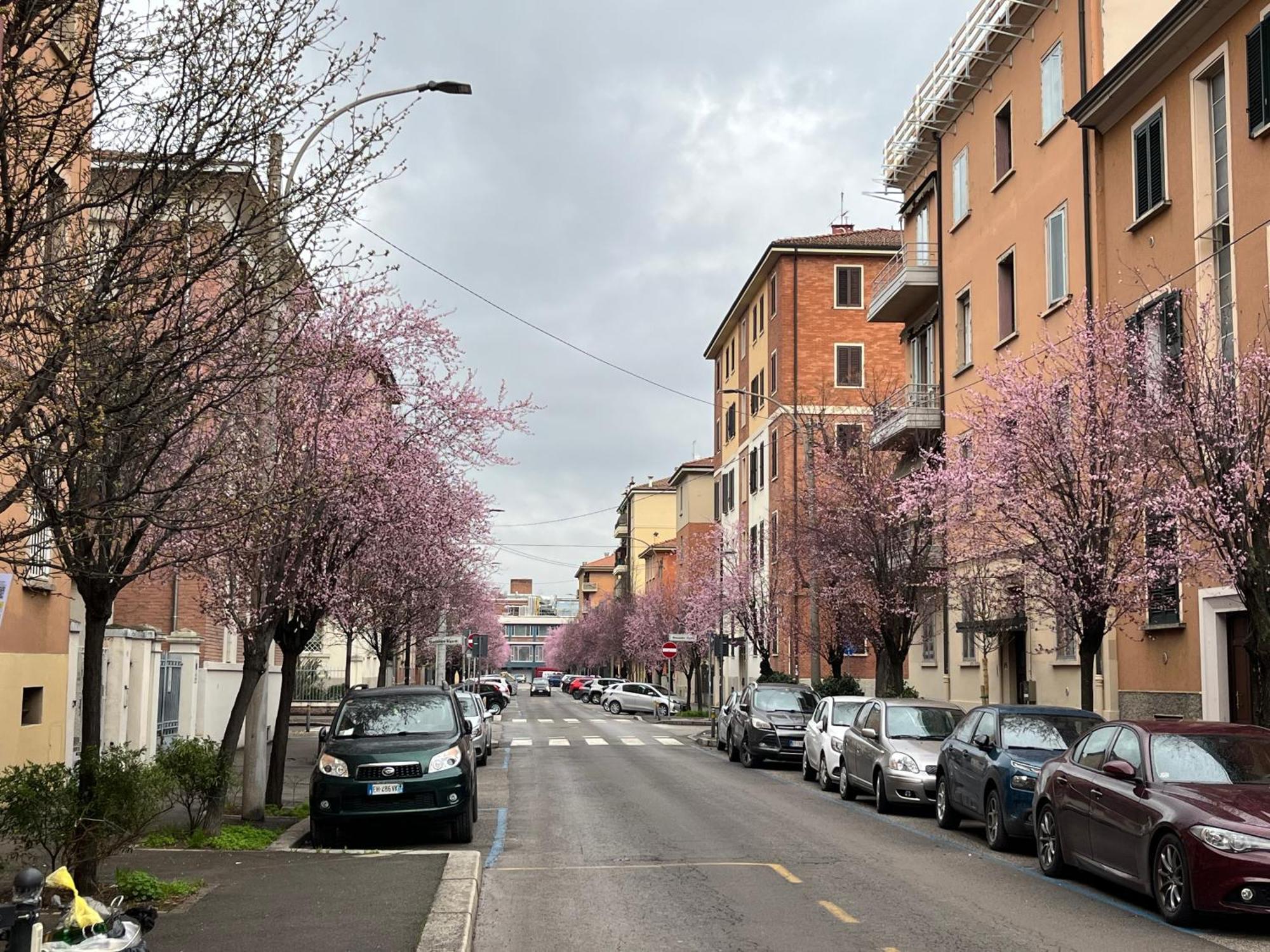 Casa Meli, Ampio Bilocale Nuovo Apartment โบโลญญา ภายนอก รูปภาพ